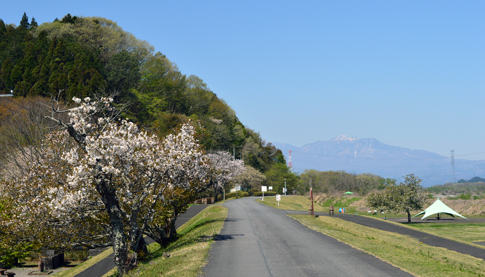 http://maywind.sakura.ne.jp/damsitepart2/damsiteblog/img/utunomiyajyousui_2015_04_017.jpg