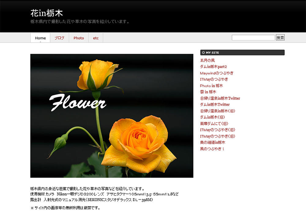 http://maywind.sakura.ne.jp/hanatochigi/blog/top_img_blog_001.jpg