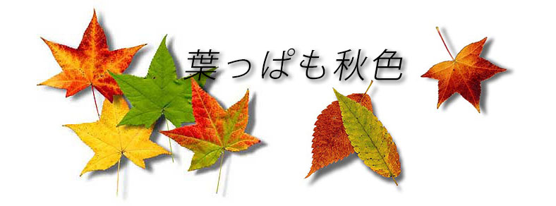 http://maywind.sakura.ne.jp/maywind_604/img/haltupa_001.jpg