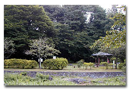 大日堂跡