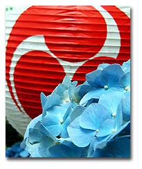 磯山神社の紫陽花