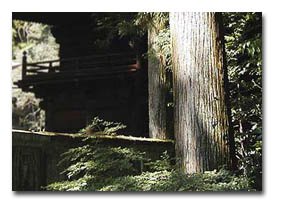 寺山観音寺山門