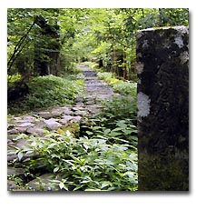 瀧尾神社へと続く瀧尾道
