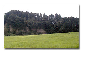 かさね橋から見た沢観音寺の裏山