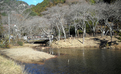 赤川ダム