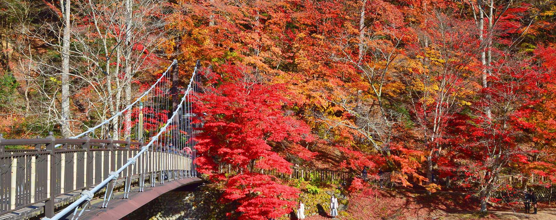 塩原温泉/紅の吊橋付近