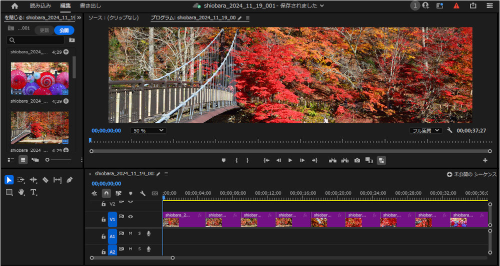 Adobe Premiere Pro