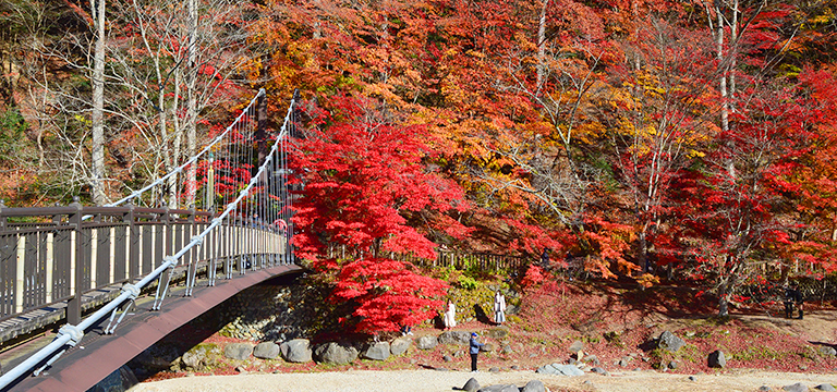 塩原温泉/紅の吊橋